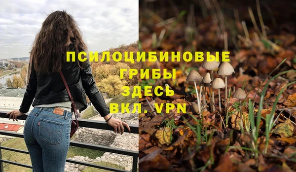 стафф Абинск