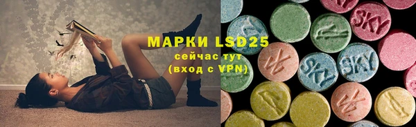 индика Абдулино