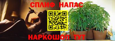 марихуана Новозыбков