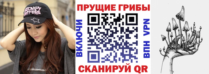где найти наркотики  Усть-Кут  OMG tor  Галлюциногенные грибы Psilocybine cubensis 