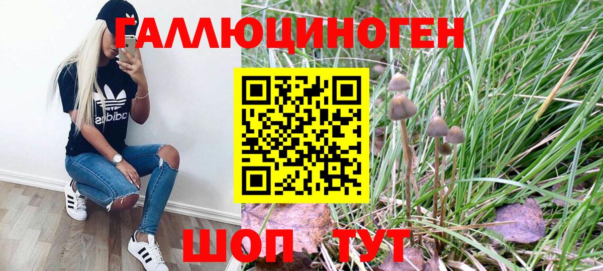 Усть-Кут  Галлюциногенные грибы MAGIC MUSHROOMS  где можно купить наркотик  Вход с VPN 